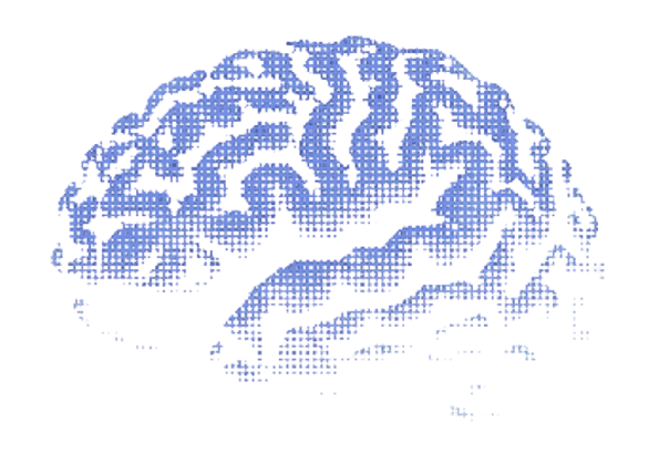 Ilustração de cérebro representando conhecimento